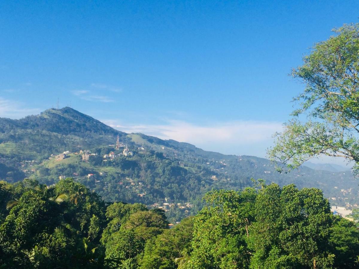 Selyna Sky Terrace Bed and Breakfast Kandy Buitenkant foto