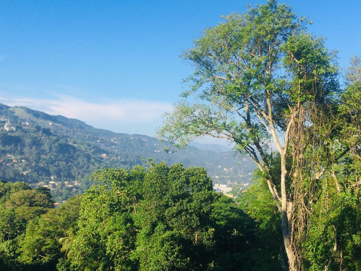 Selyna Sky Terrace Bed and Breakfast Kandy Buitenkant foto