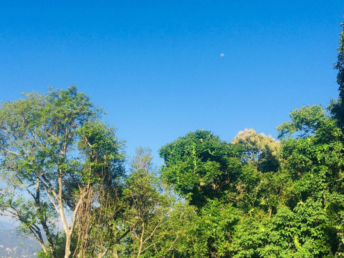 Selyna Sky Terrace Bed and Breakfast Kandy Buitenkant foto
