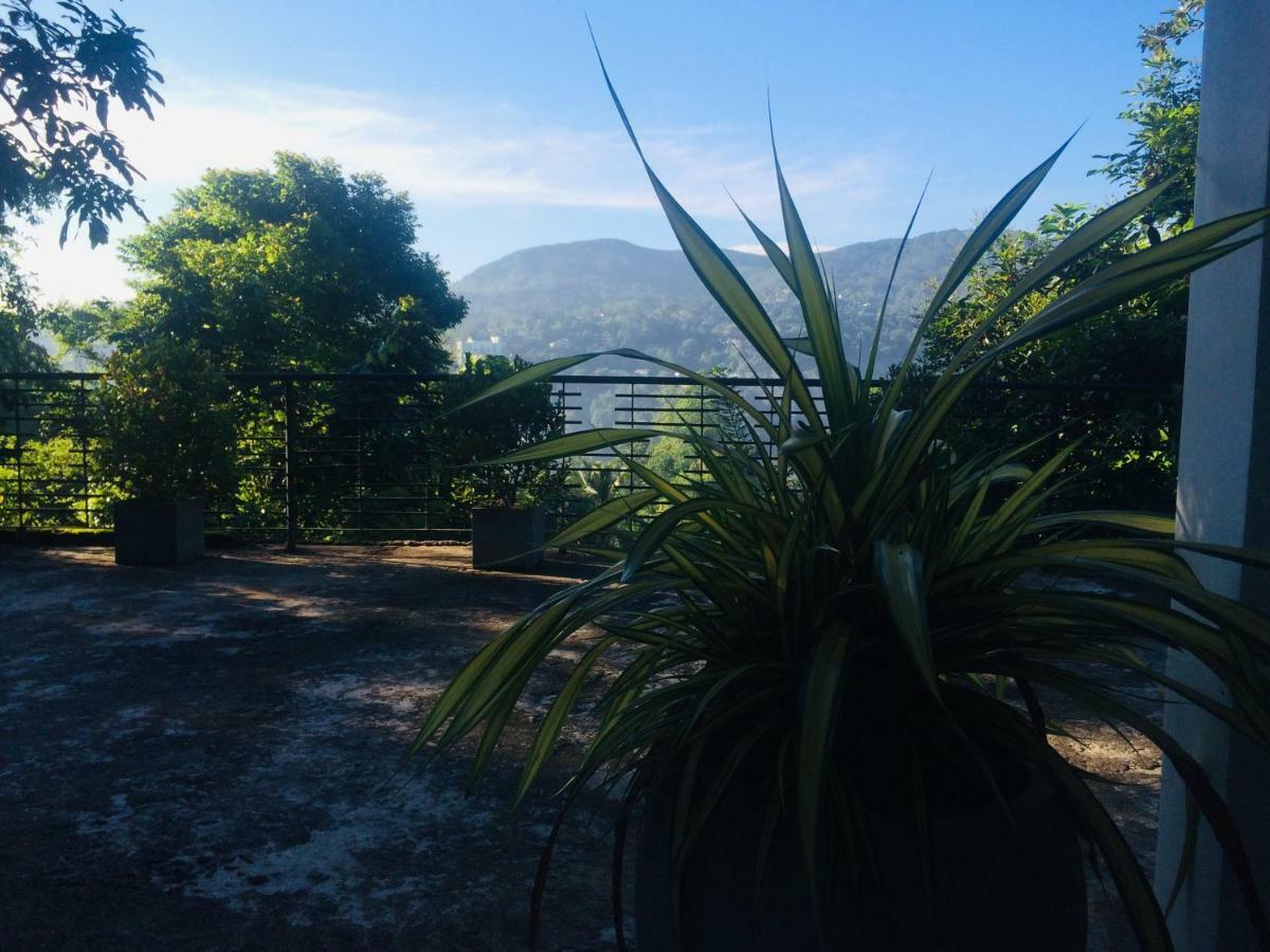 Selyna Sky Terrace Bed and Breakfast Kandy Buitenkant foto